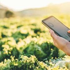 person holding tablet in field