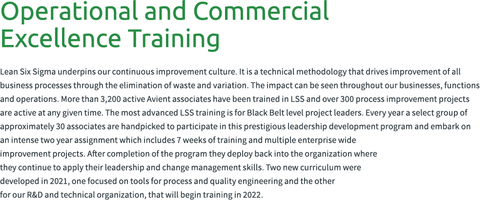 Operational and Commercial Excellence Training Lean Six Sigma underpins our continuous improvement culture. It is a t...